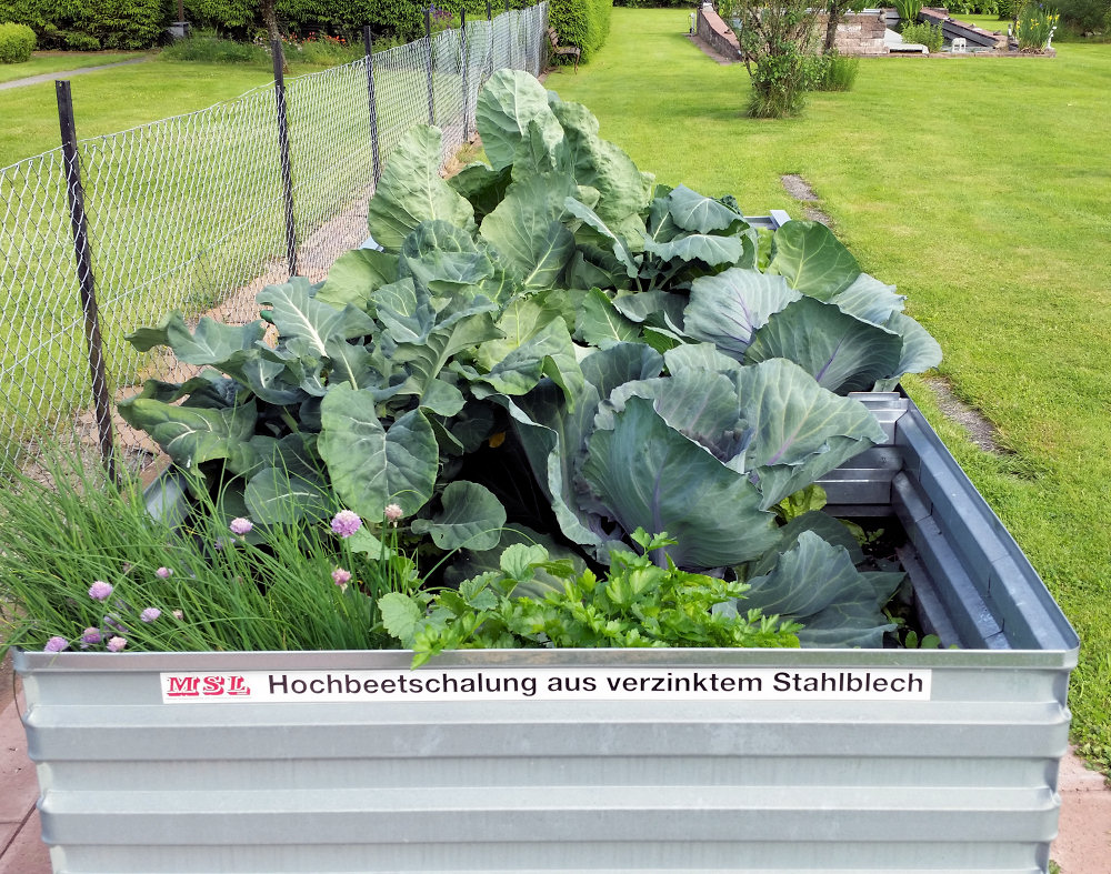 MSL - Hochbeet